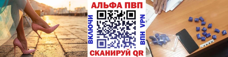 A PVP СК  Будённовск 