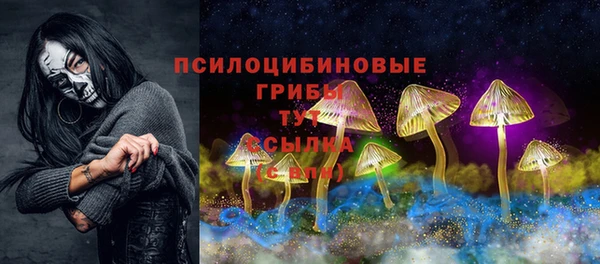 прущие крисы Балахна
