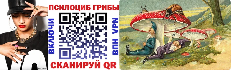 Псилоцибиновые грибы мицелий  закладка  Будённовск 